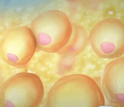 dd8ce78a-68c4-4f36-80ba-84e10b2028a1-1.gif