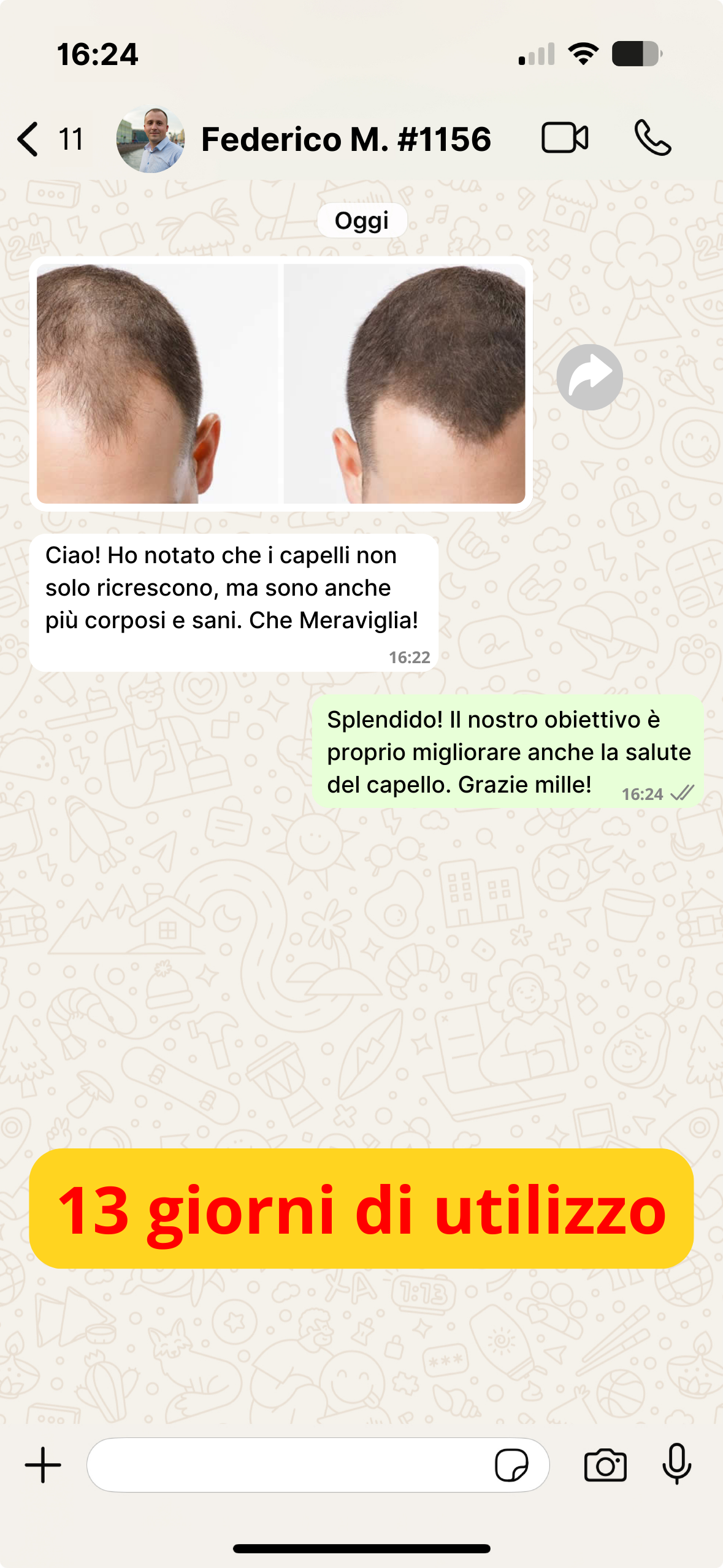 Ricrescita (11)